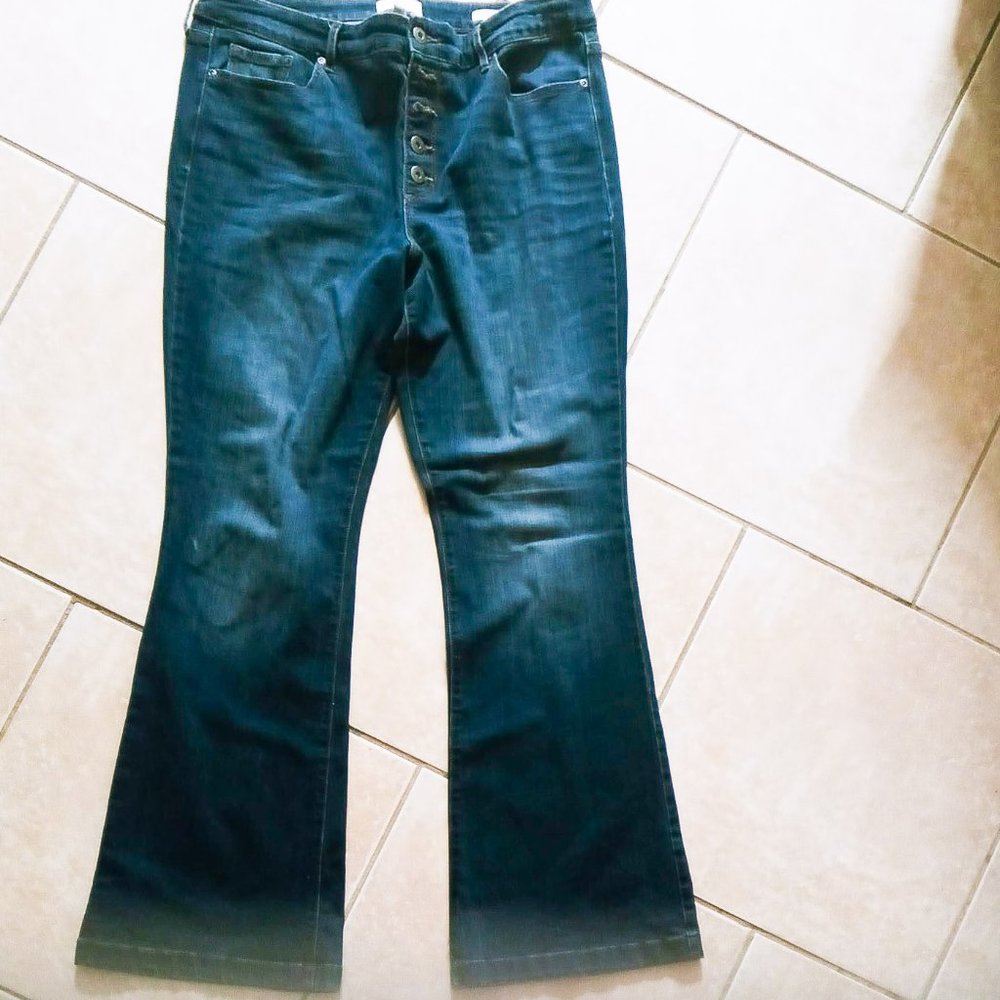 Sofia Jeans by Sofia Vergara ( Melisa Flare)